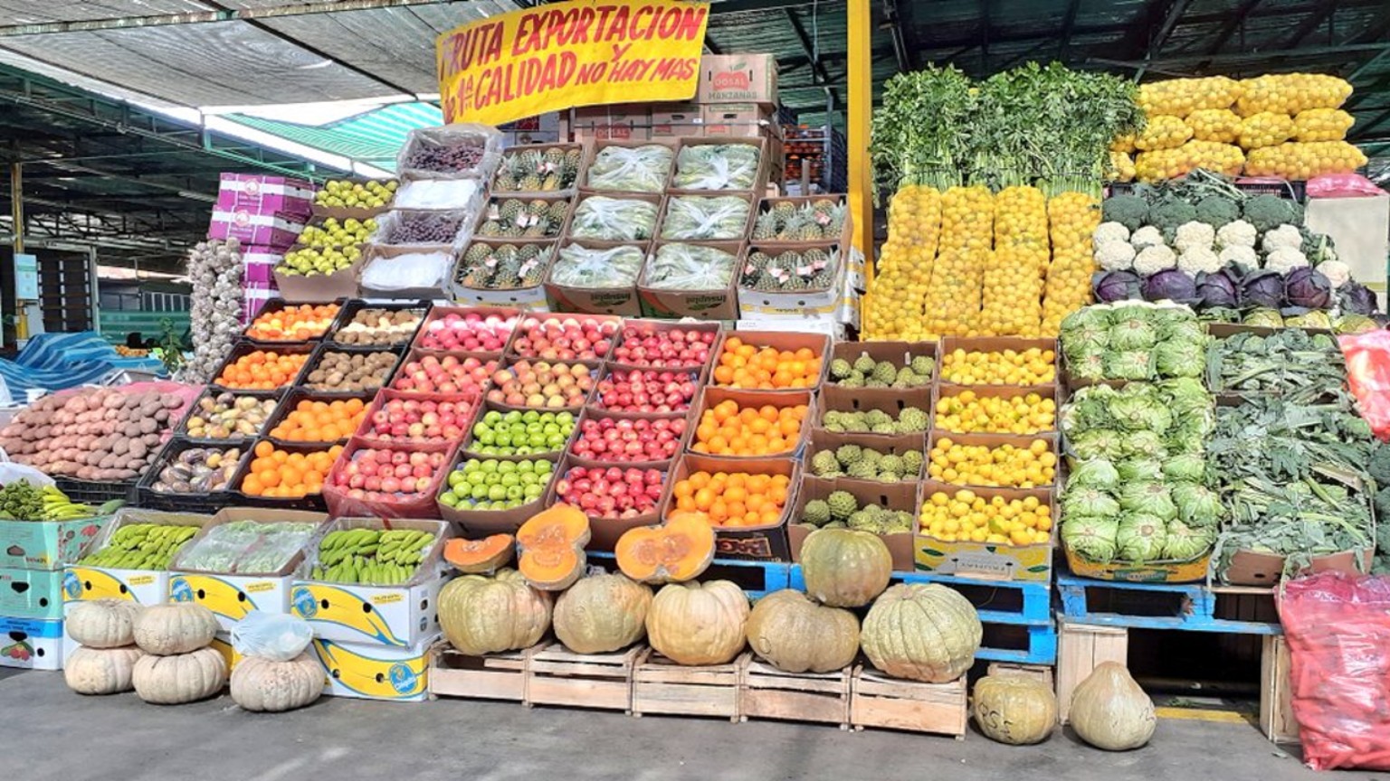 Surtido de frutas y hortalizas en la bodega de La Vega Central